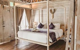 Java Wood